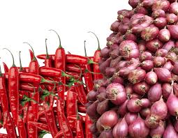 Aparat Penegak Hukum Diminta Telisik Pengadaan Bantuan Bibit Cabe & Bawang Pada Distakan Inhu